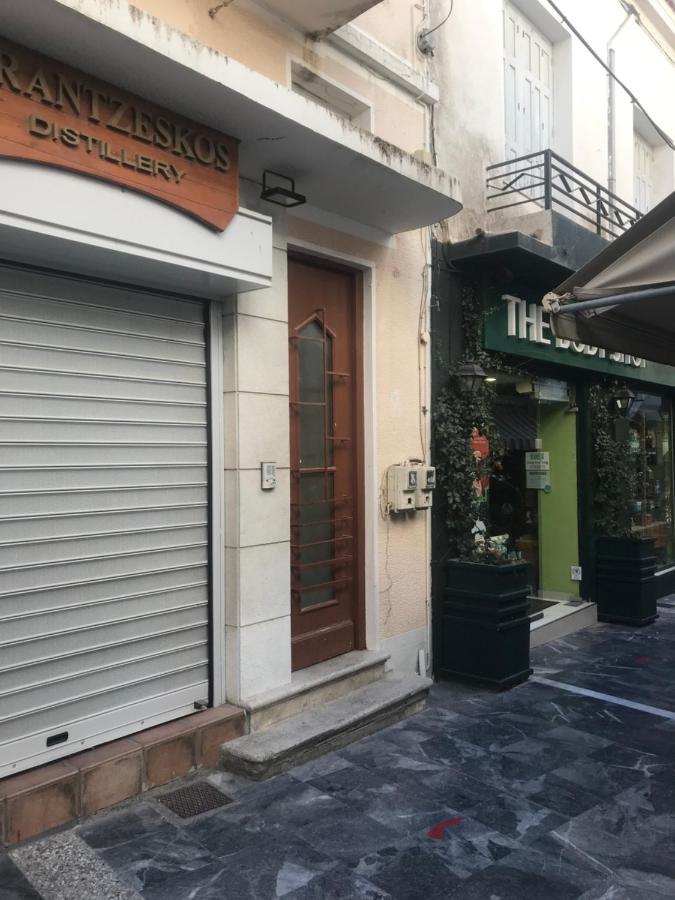 Plateia Sea View Loft Διαμέρισμα Σάμος Εξωτερικό φωτογραφία
